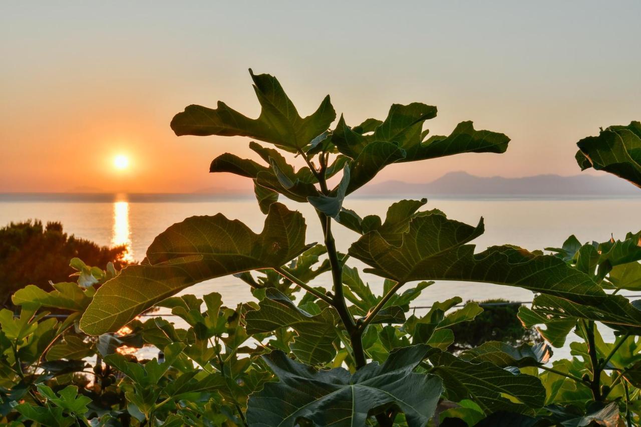 Albeca Relais Bed & Breakfast Castellabate Bagian luar foto