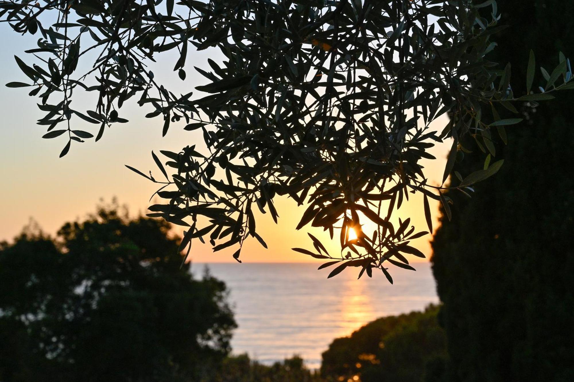 Albeca Relais Bed & Breakfast Castellabate Bagian luar foto